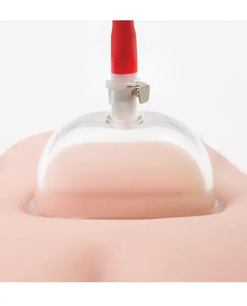 Blush Temptasia Advanced Pussy Pump System Blush